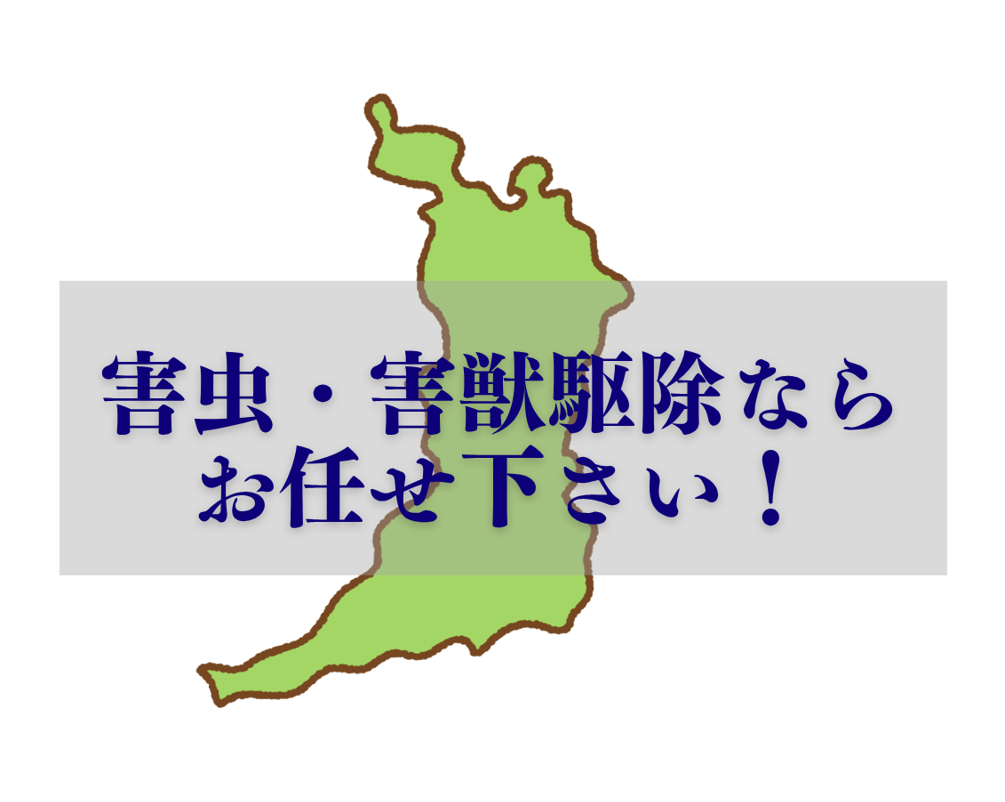 価格と品質に満足するお客様のイメージ