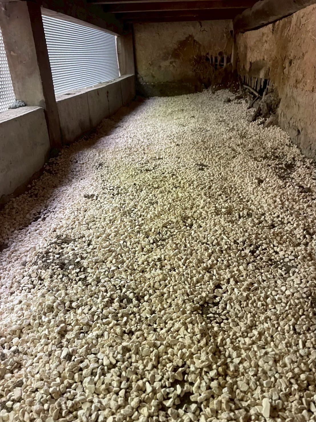 シロアリ被害のあった床下