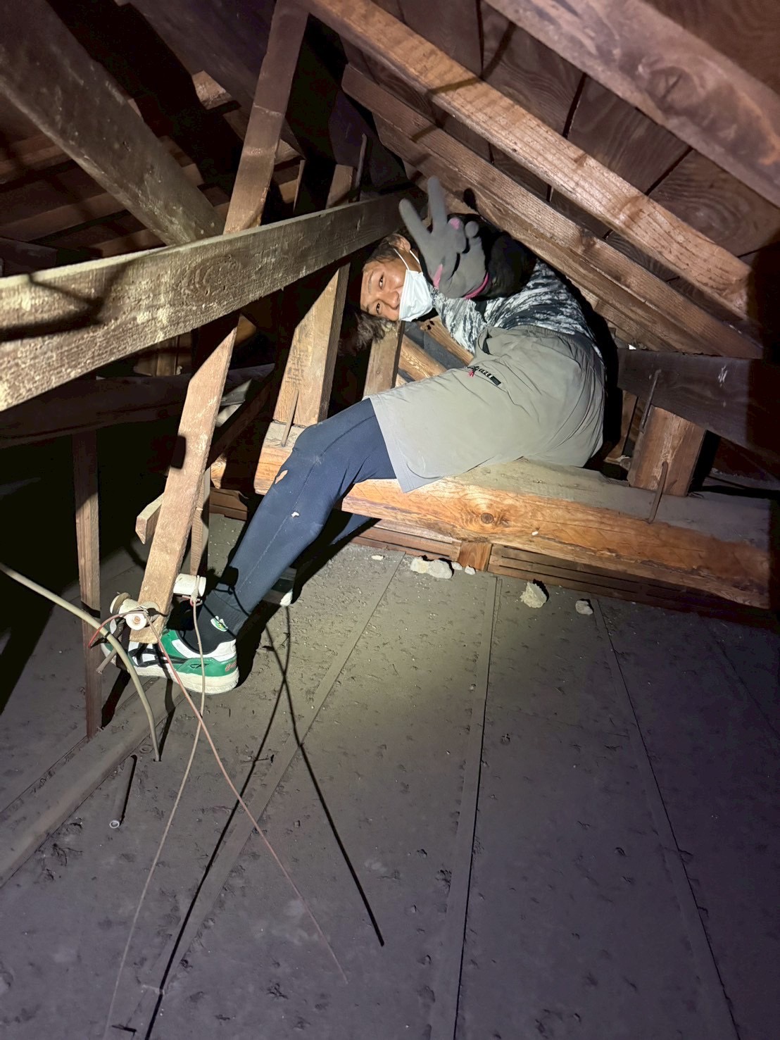 ネズミ被害のあった天井裏